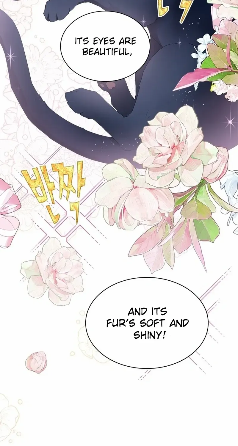 I Need Someone to Stop My Older Brothers Chapter 51 page 34 - 