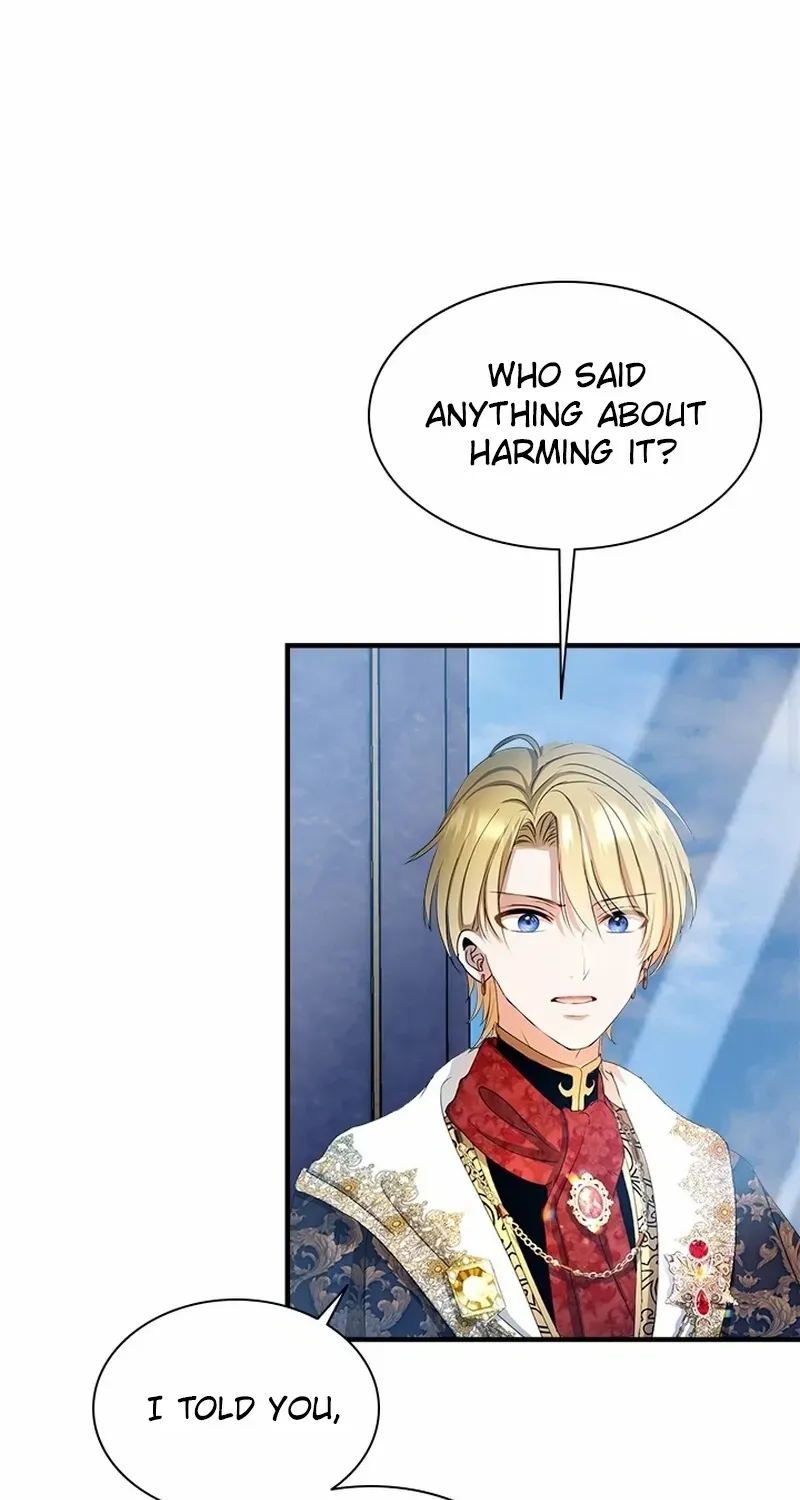 I Need Someone to Stop My Older Brothers Chapter 51 page 35 - 