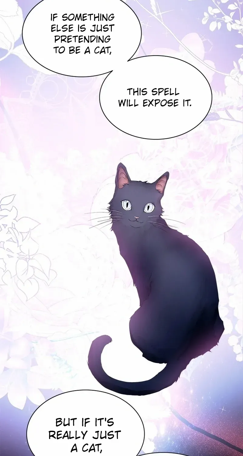 I Need Someone to Stop My Older Brothers Chapter 51 page 37 - 