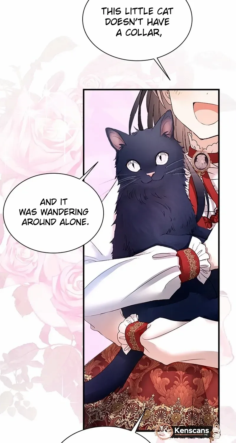 I Need Someone to Stop My Older Brothers Chapter 51 page 5 - 