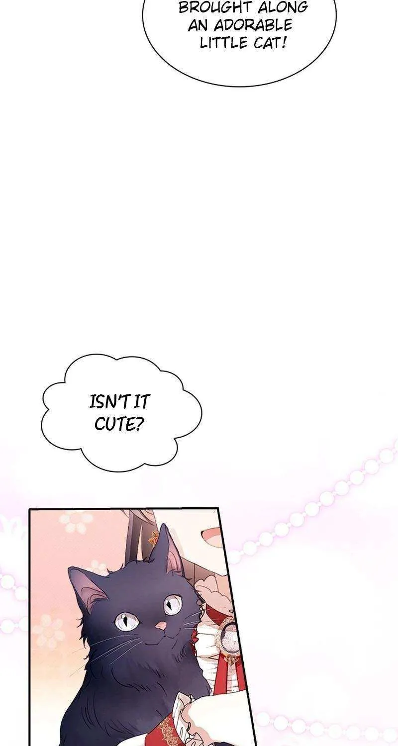 I Need Someone to Stop My Older Brothers Chapter 52 page 46 - 