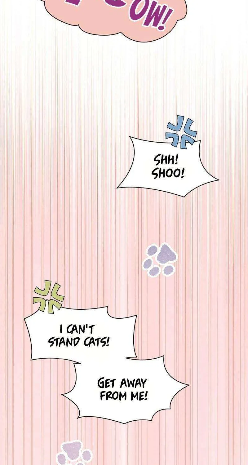 I Need Someone to Stop My Older Brothers Chapter 56 page 36 - 