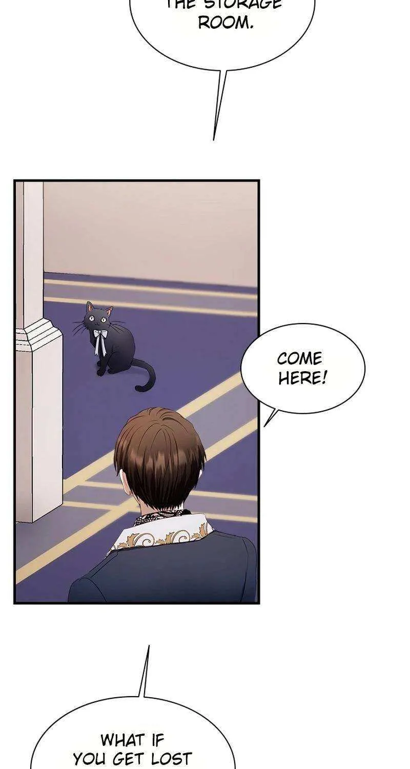 I Need Someone to Stop My Older Brothers Chapter 56 page 41 - 