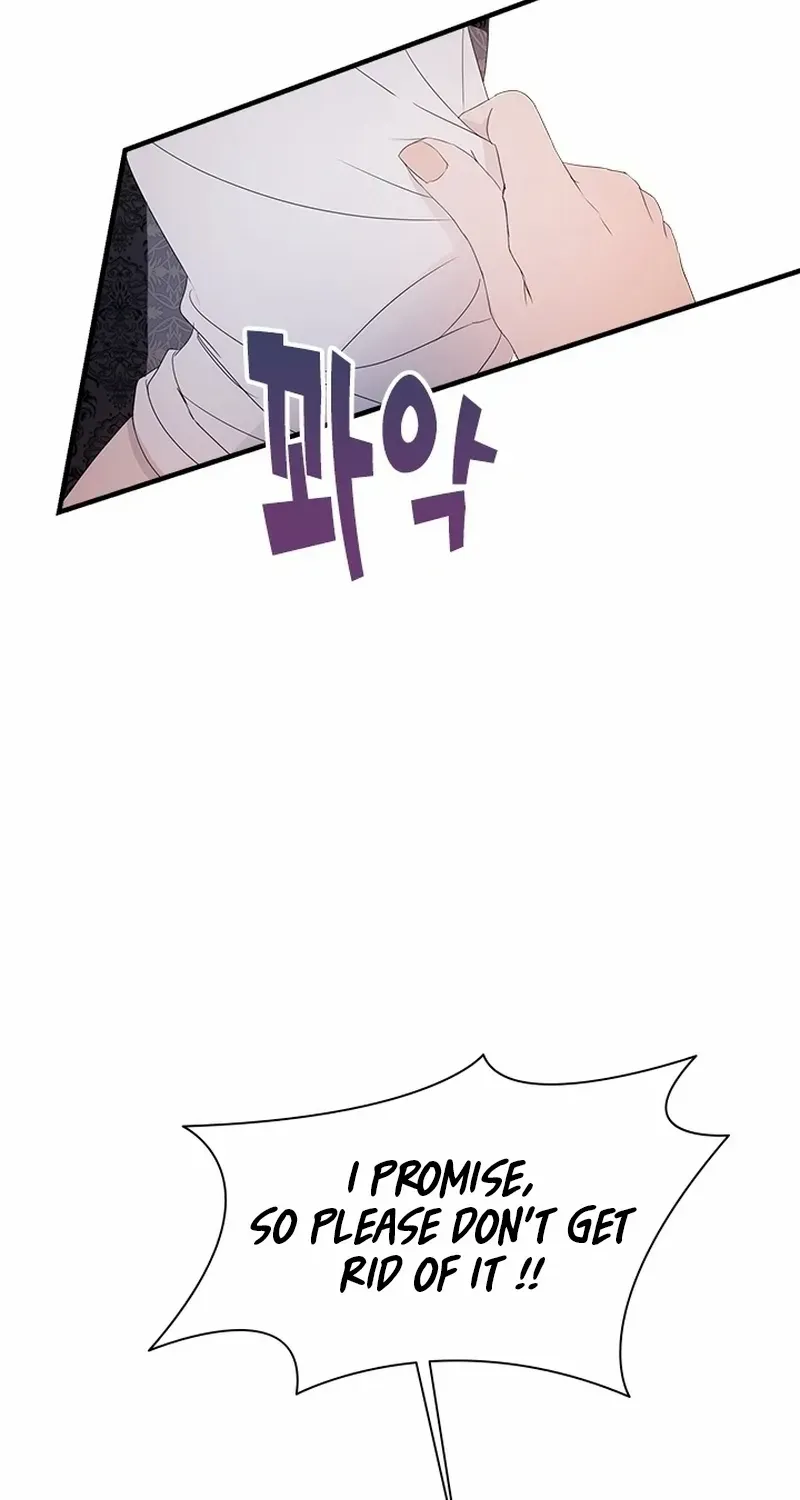 I Need Someone to Stop My Older Brothers Chapter 61 page 40 - 