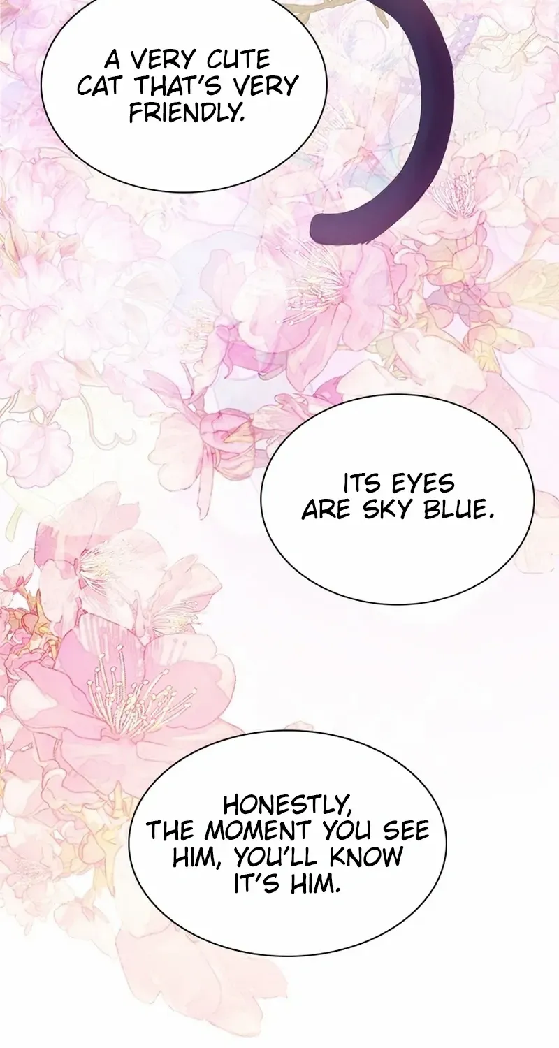 I Need Someone to Stop My Older Brothers Chapter 61 page 57 - 
