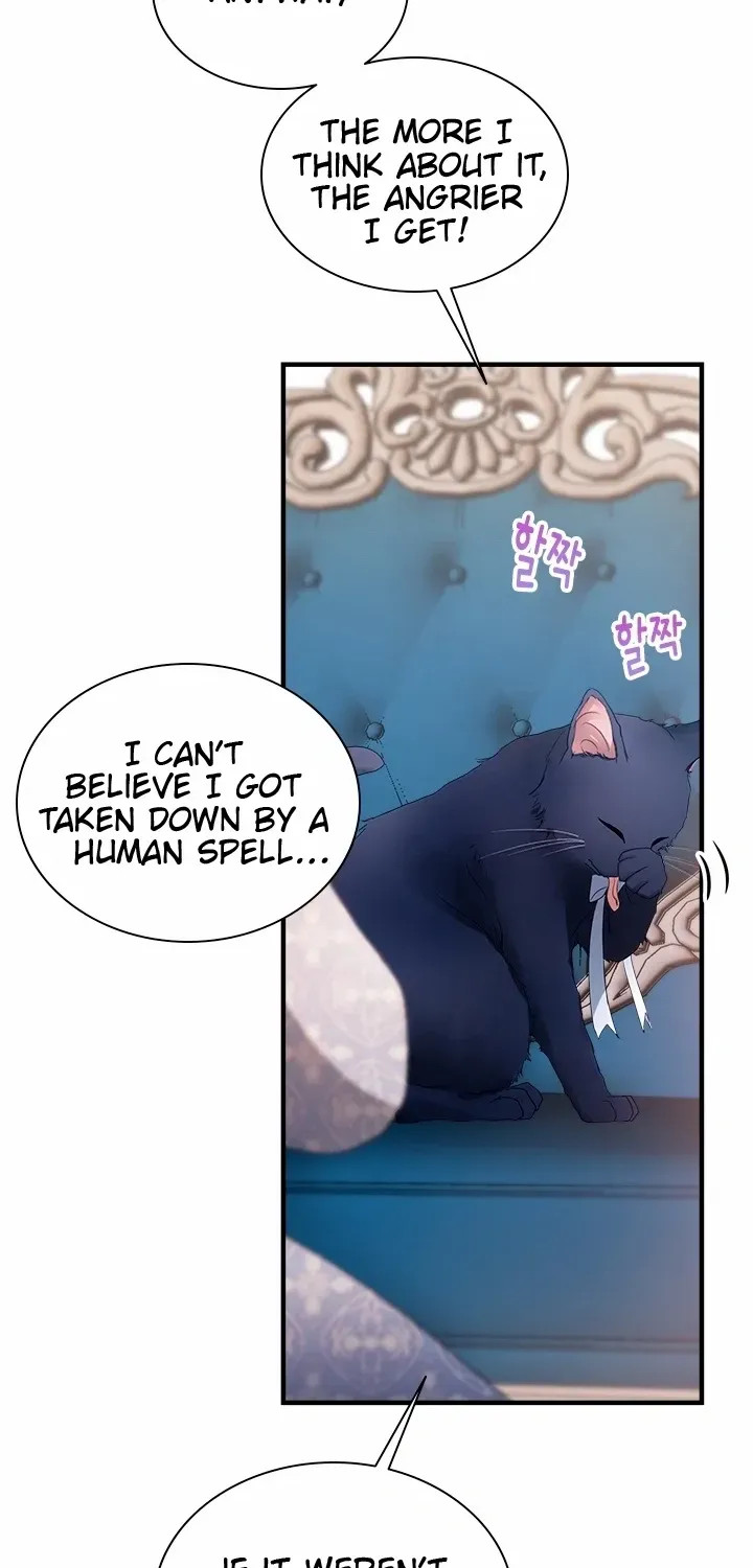I Need Someone to Stop My Older Brothers Chapter 62 page 39 - 