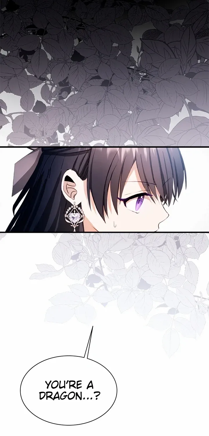 I Need Someone to Stop My Older Brothers Chapter 62 page 45 - 