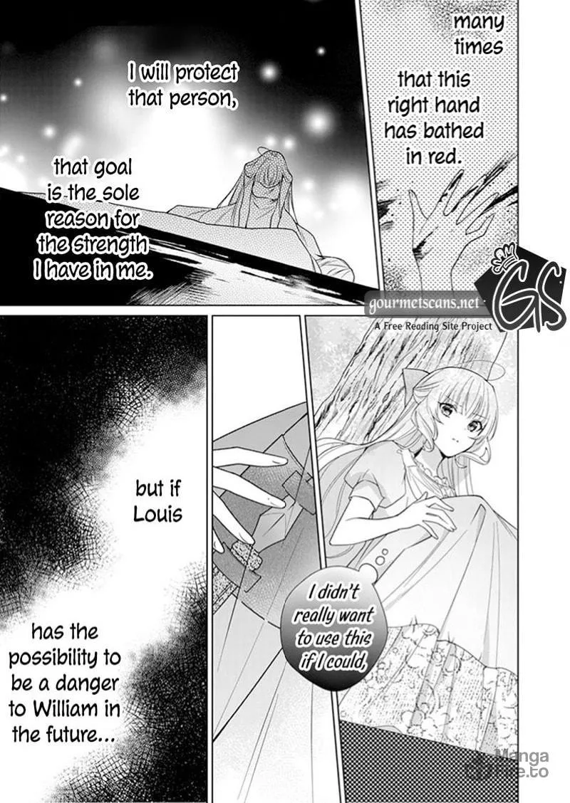 I Parted Countlessly From My Beloved Over a Millennium, Now I Shall Become the Wicked Lady Chapter 11 page 27 - 