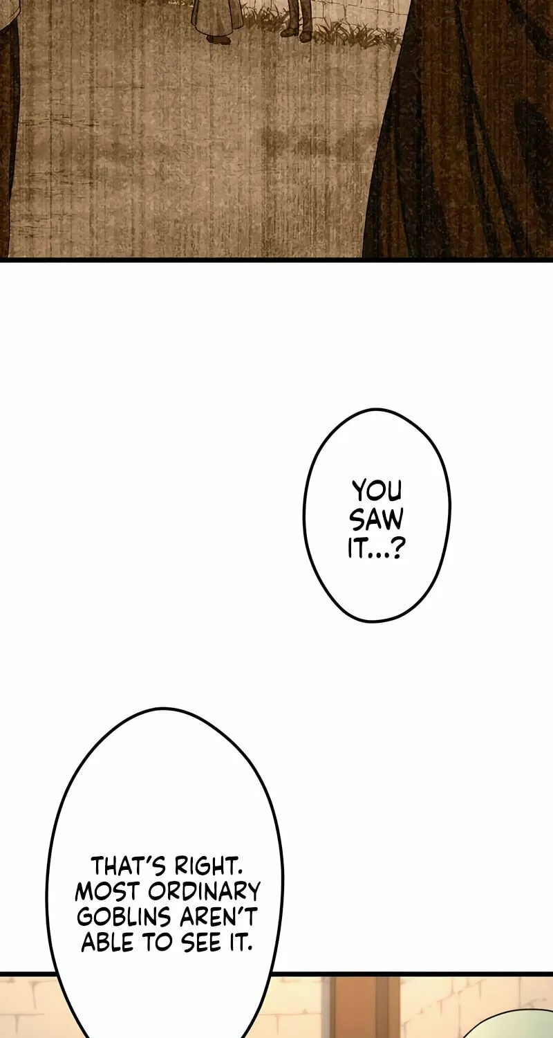 I Reincarnated as an SSS-Ranked Goblin Chapter 19 page 25 - 