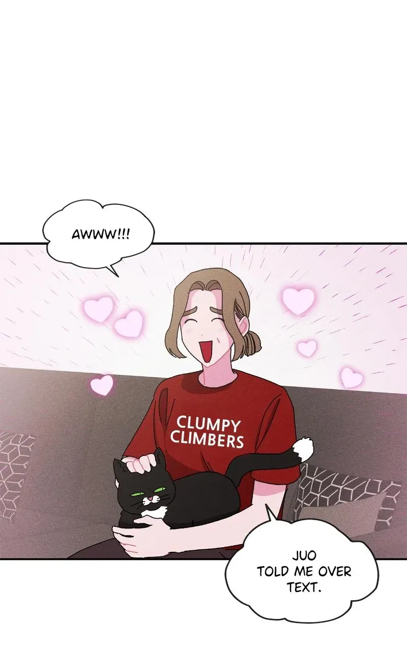 I Swear I Really Like You Chapter 43 page 5 - 