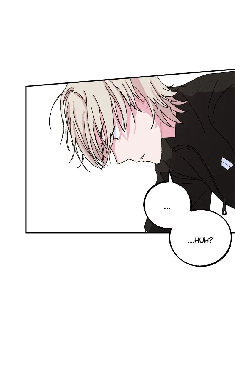 I Swear I Really Like You Chapter 43 page 68 - 