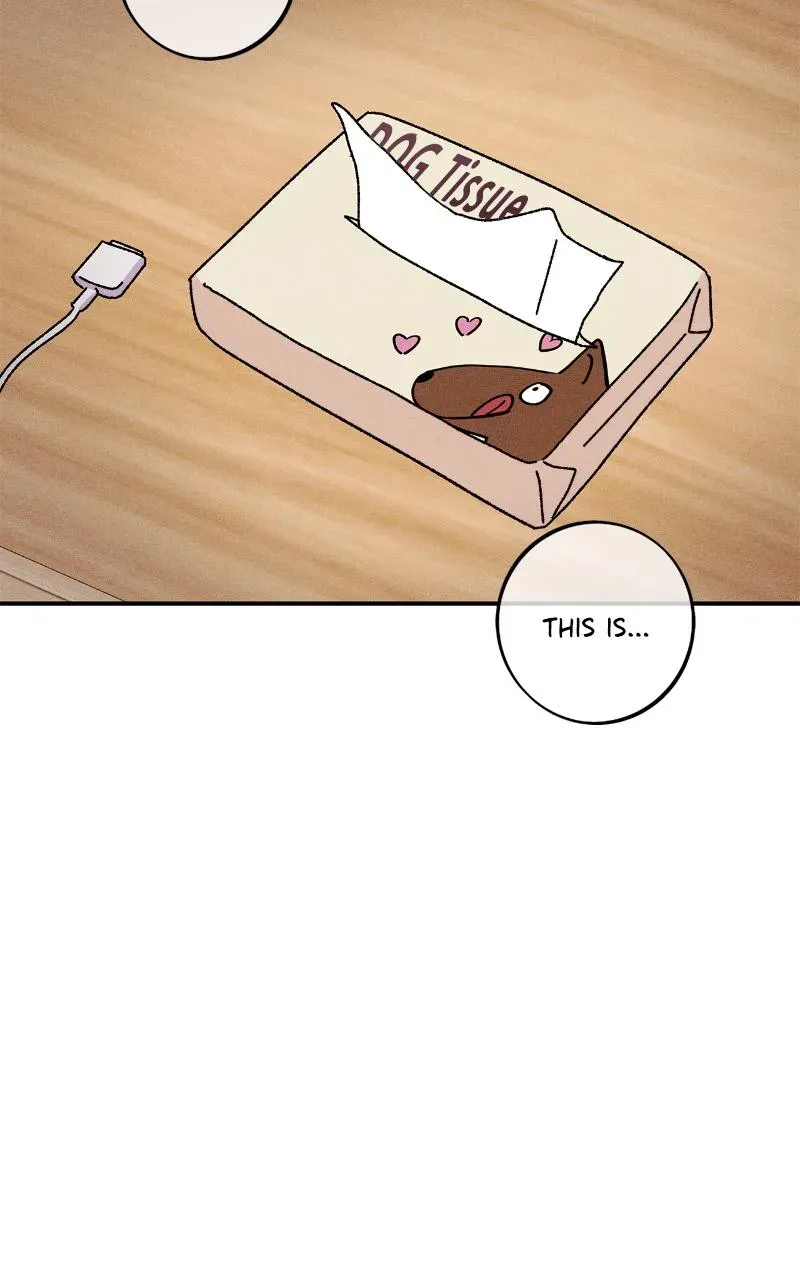 I Swear I Really Like You Chapter 47 page 54 - 