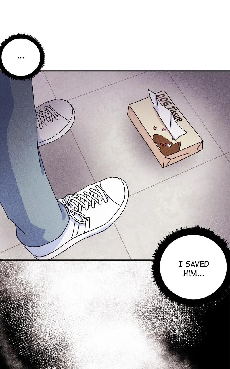 I Swear I Really Like You Chapter 52 page 61 - 