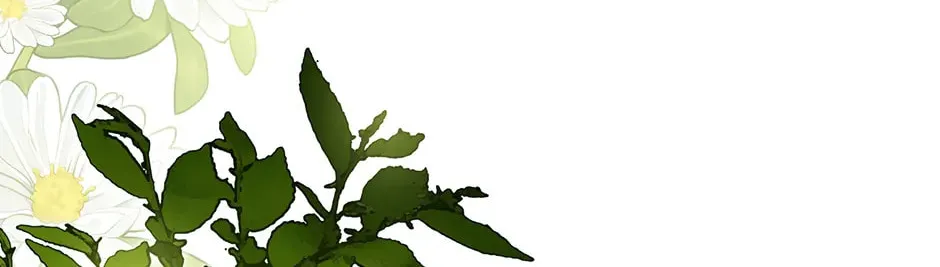 I Think I've Been Possessed Somewhere Chapter 64 page 46 - 