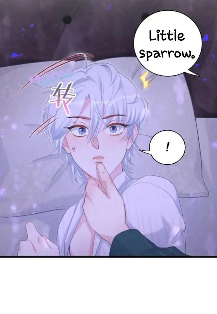 I Tied Myself Up Chapter 2 page 39 - 