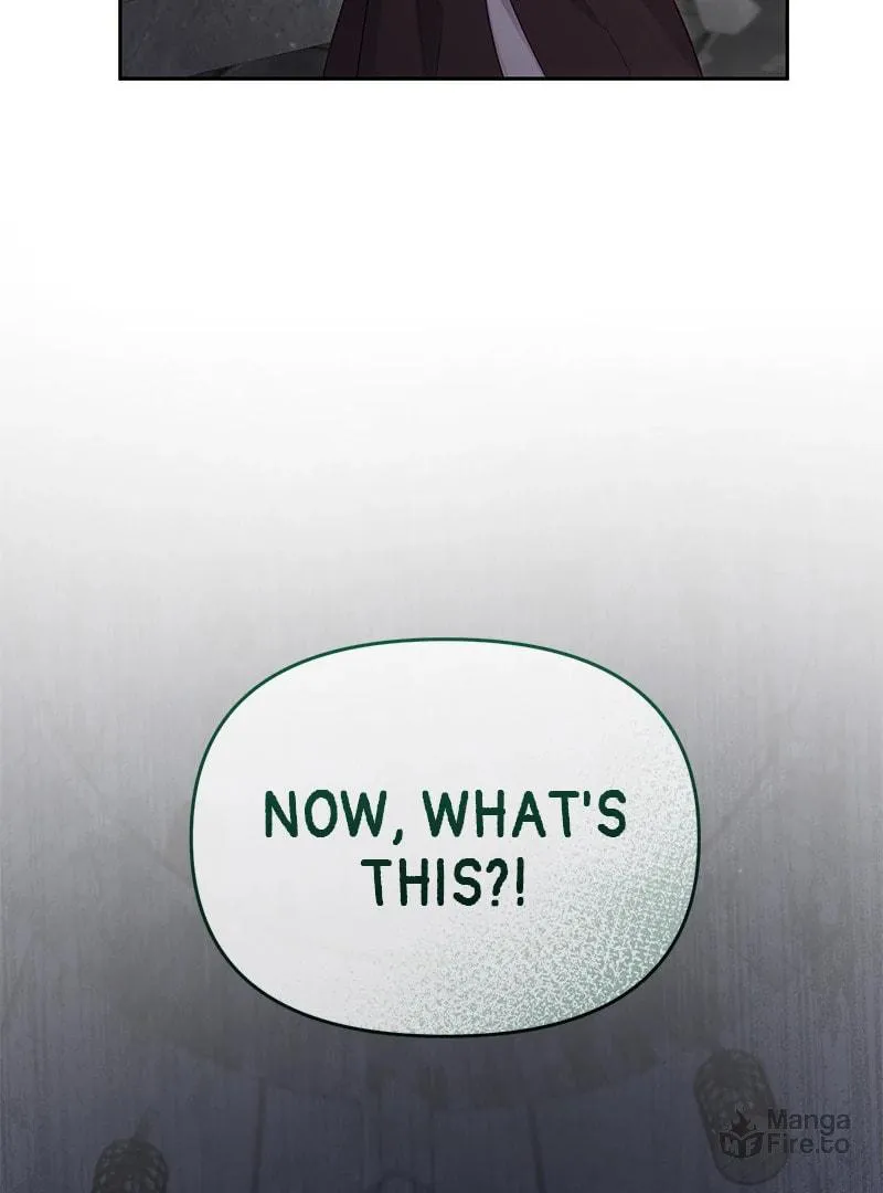 I Vow to Take the Tyrant's Throne Chapter 14 page 42 - 