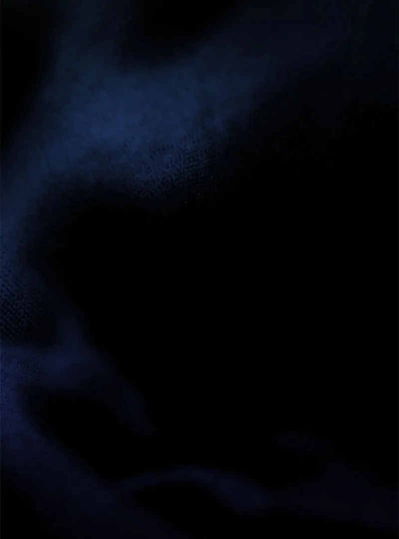 I Vow to Take the Tyrant's Throne Chapter 25 page 19 - 