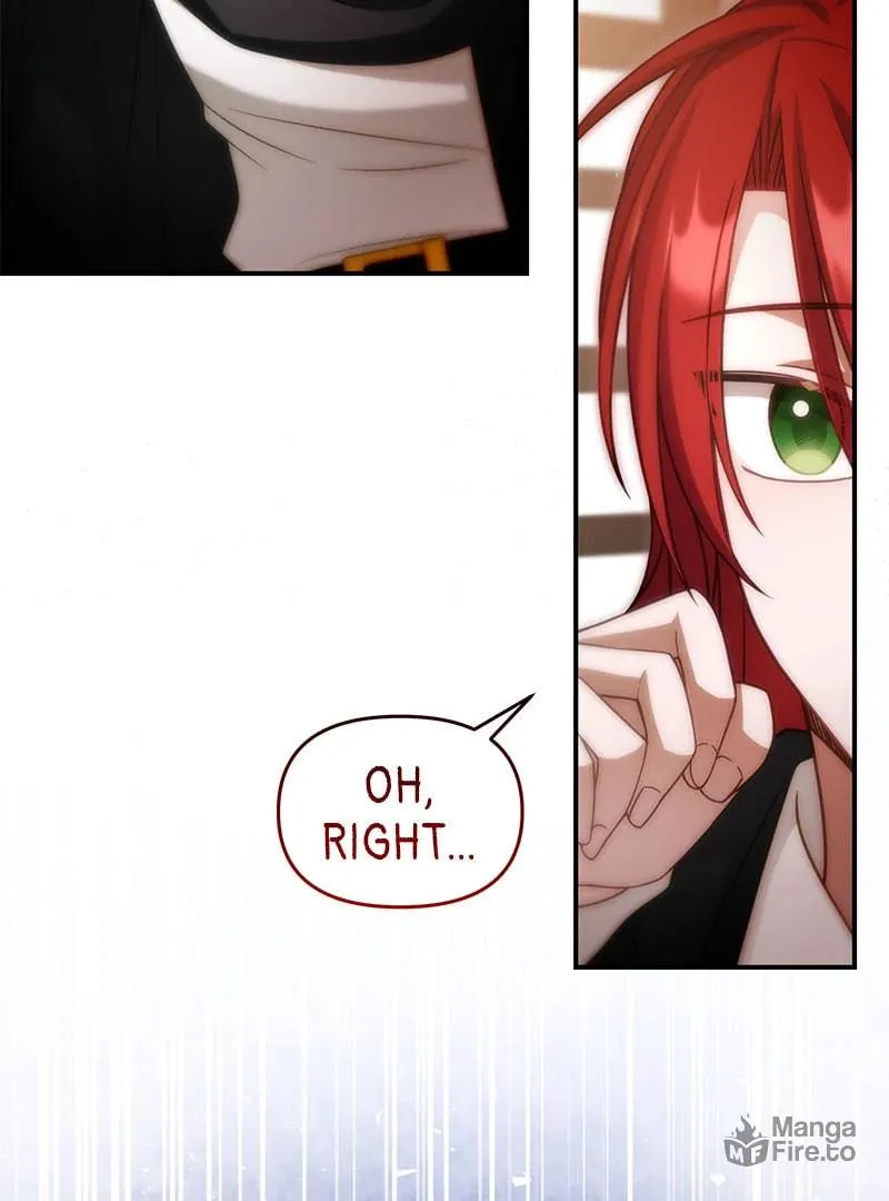 I Vow to Take the Tyrant's Throne Chapter 27 page 27 - 