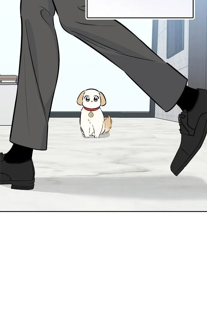 I will be your dog, President Chapter 47 page 44 - 