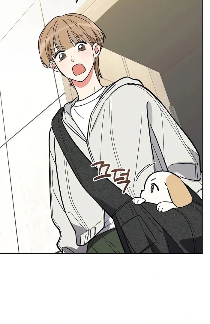 I will be your dog, President Chapter 50 page 41 - 