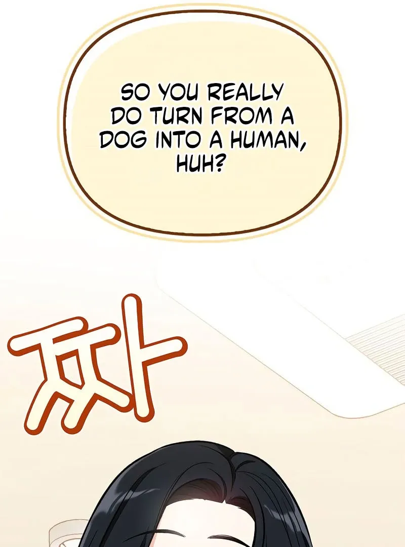 I will be your dog, President Chapter 52 page 84 - 