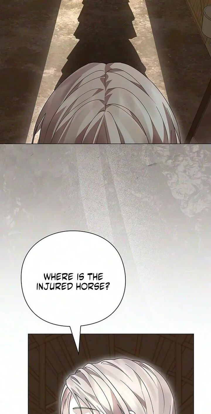 I Will Disappear, Grand Duke Chapter 75 page 73 - 
