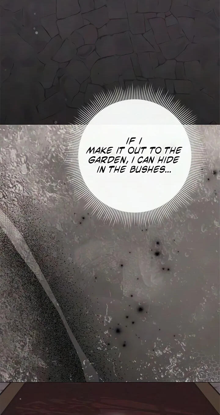 I Will Disappear, Grand Duke Chapter 79 page 17 - 