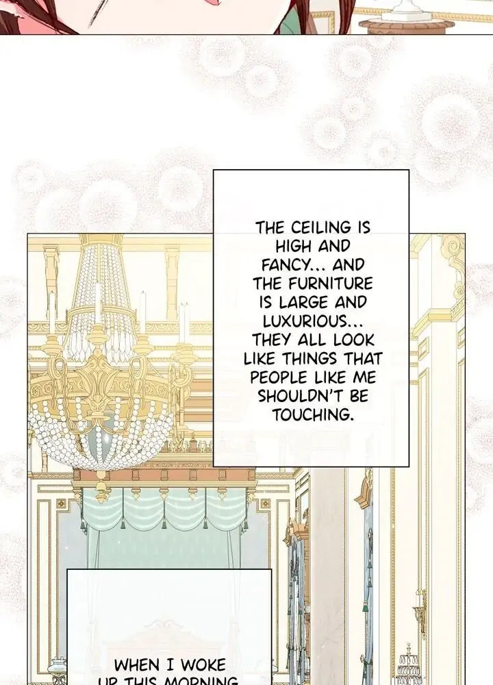I Woke Up as the Ugly Duckling Chapter 10 page 19 - 