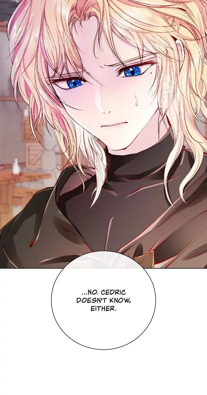 I Woke Up as the Ugly Duckling Chapter 65 page 11 - 