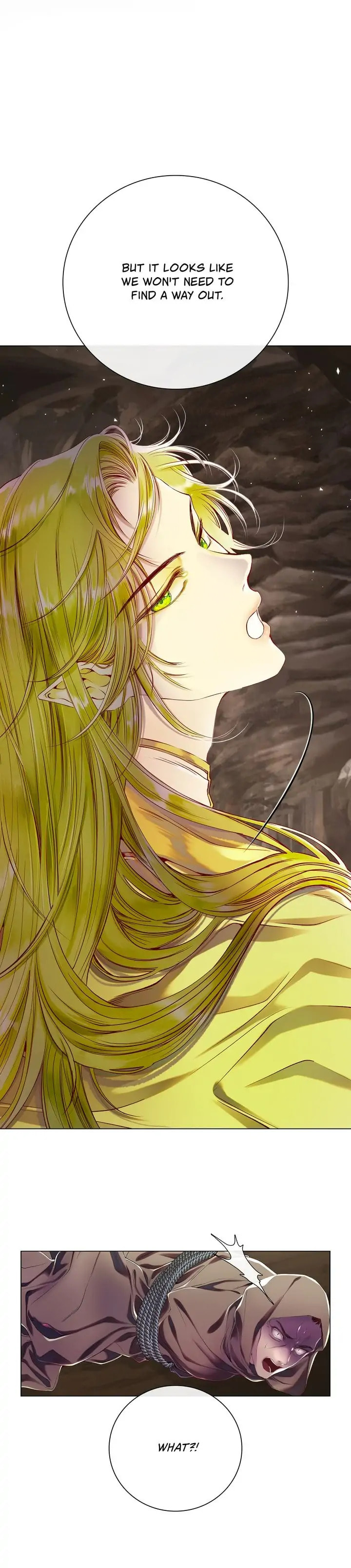 I Woke Up as the Ugly Duckling Chapter 84 page 25 - 