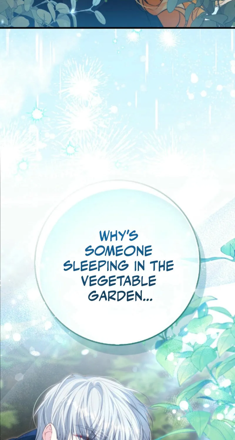 If You Pick Up a Suspicious Husband Chapter 1 page 63 - 