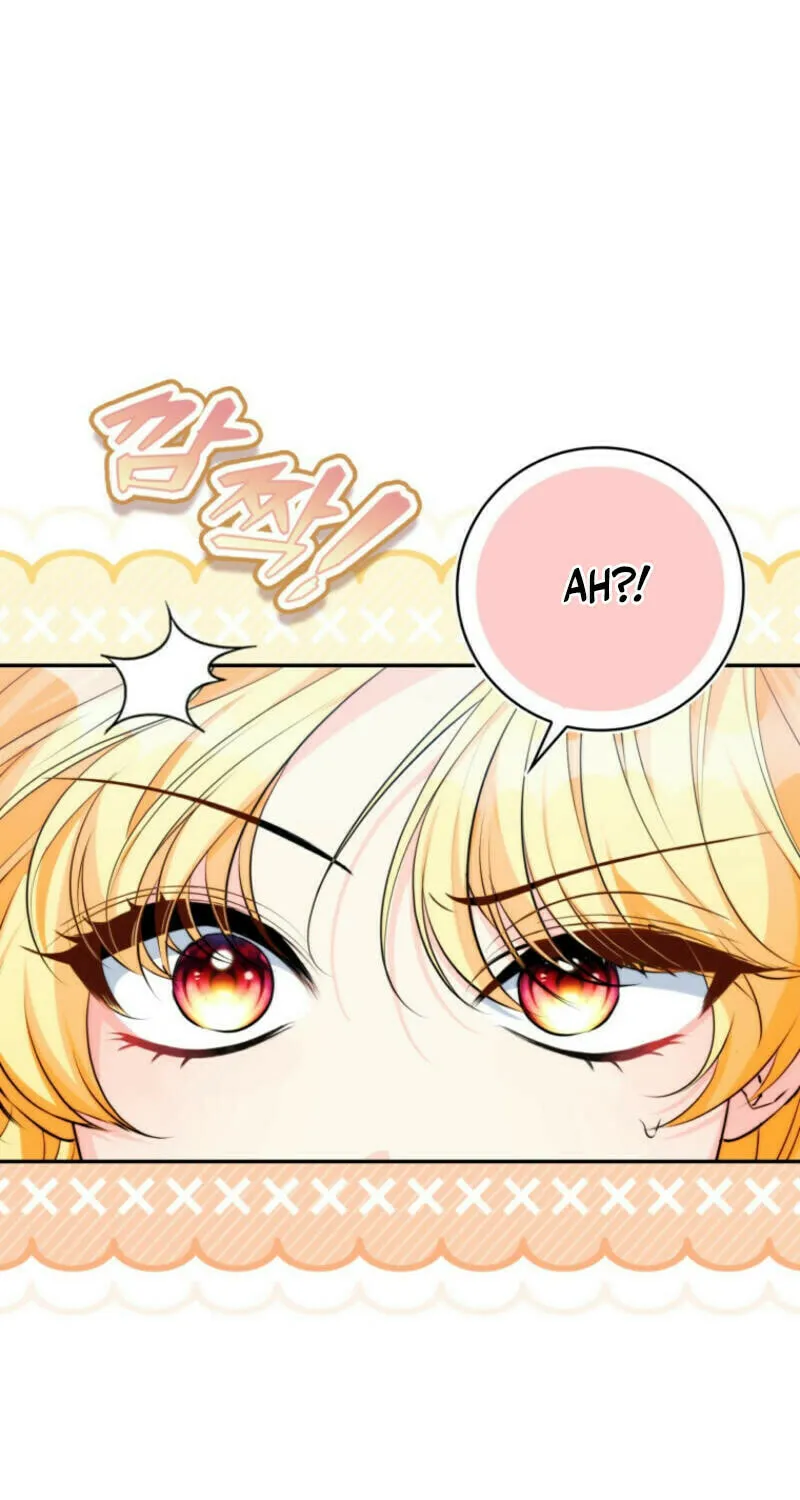 If You Pick Up a Suspicious Husband Chapter 11 page 67 - 