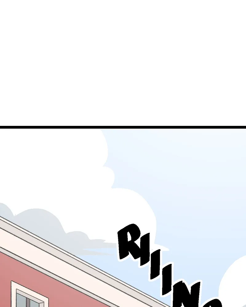 IF Chapter 12 page 19 - 