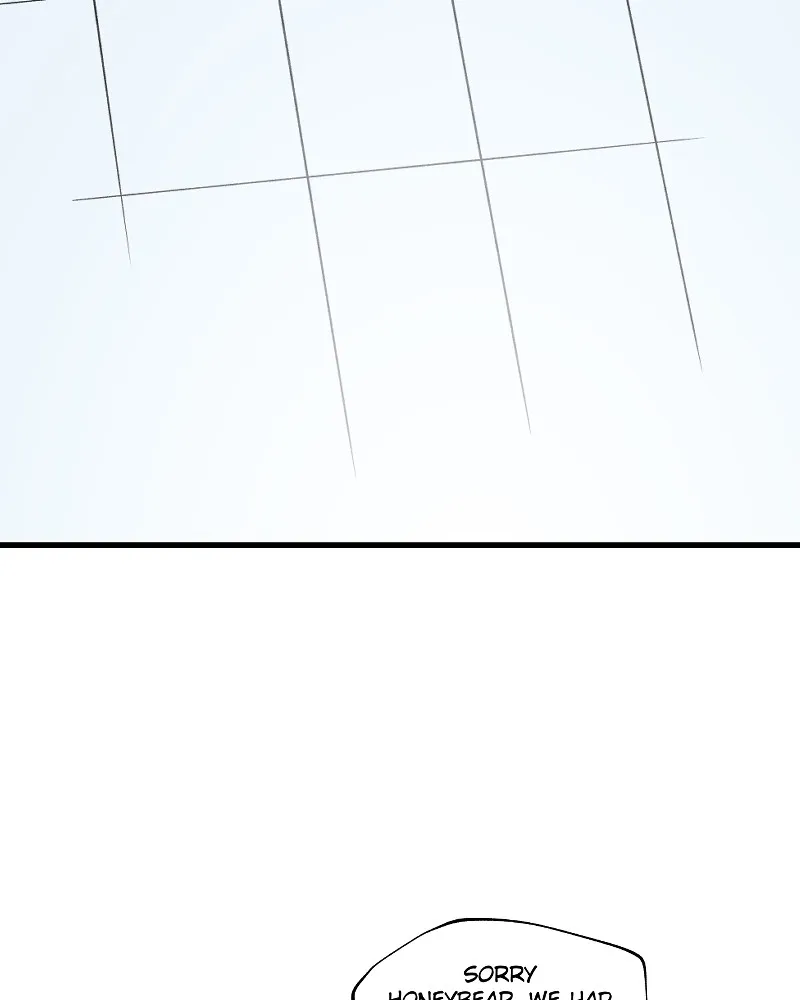 IF Chapter 13 page 23 - 