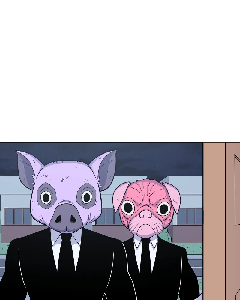 IF Chapter 15 page 41 - 