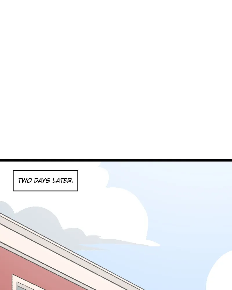IF Chapter 18 page 31 - 