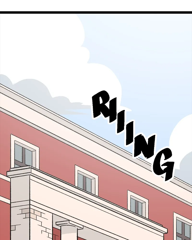 IF Chapter 2 page 41 - 