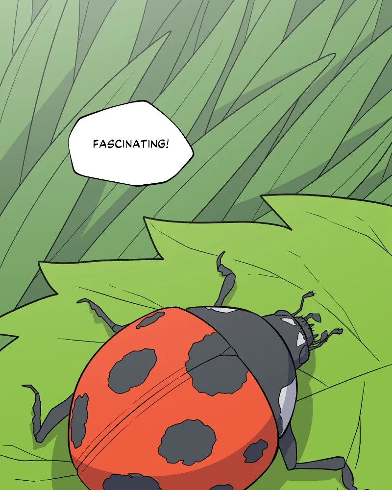IF Chapter 33 page 1 - 