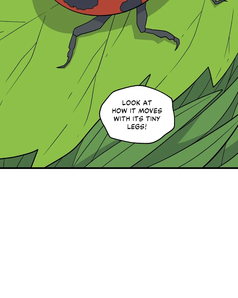 IF Chapter 33 page 2 - 