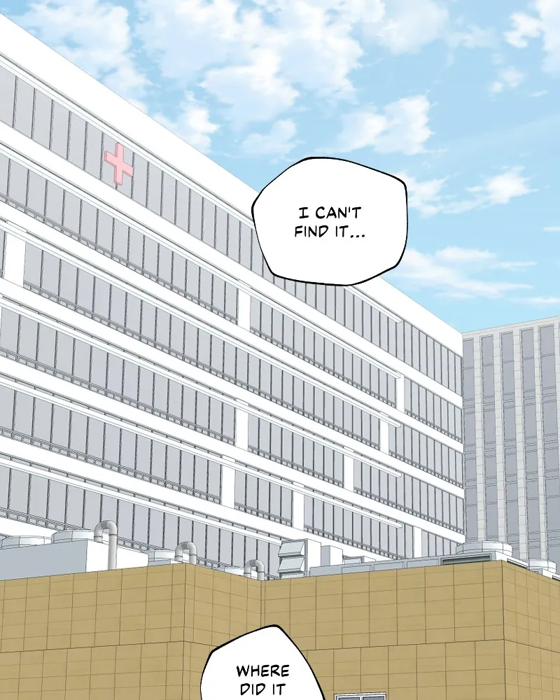 IF Chapter 41 page 29 - 