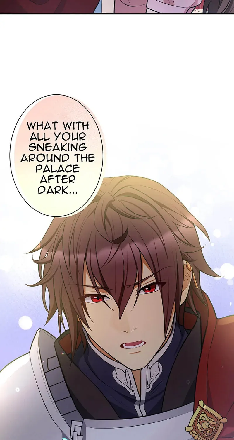 Ikemen Oukyuu: Mayonaka no Cinderella - Oushitsu no Kishi Hen Chapter 11 page 100 - 