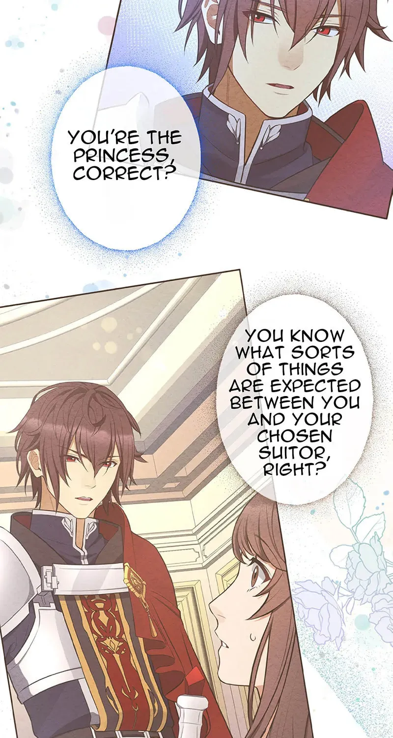 Ikemen Oukyuu: Mayonaka no Cinderella - Oushitsu no Kishi Hen Chapter 13 page 15 - 