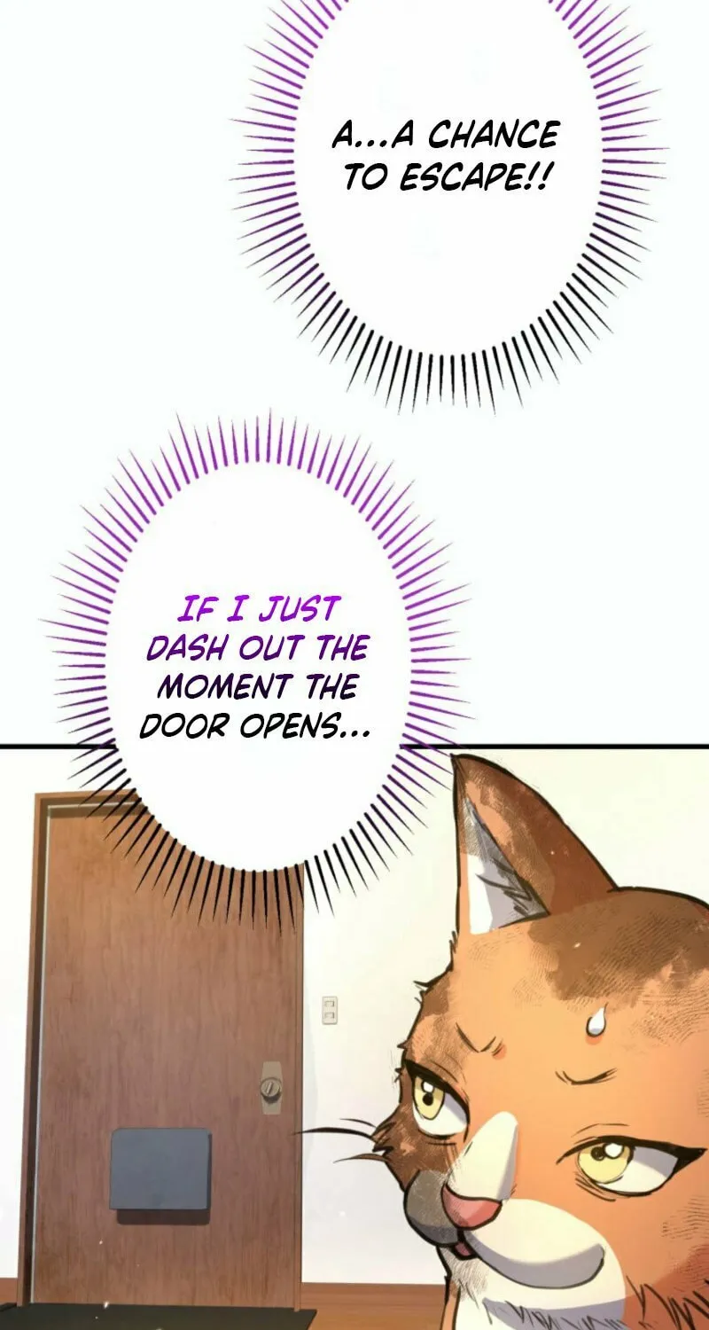 I’ll Borrow Your Face Chapter 24 page 21 - 