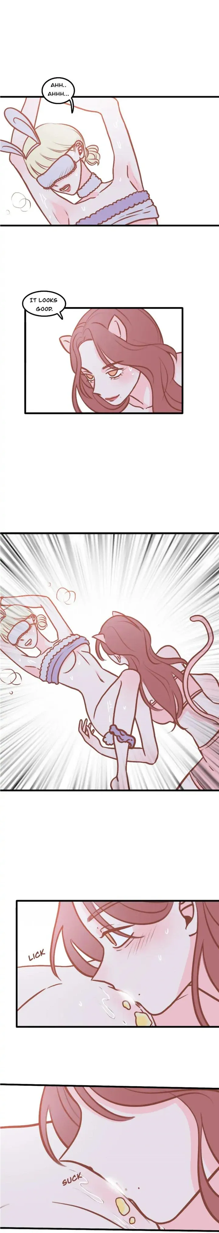 ILLICIT Chapter 60.04 page 1 - 