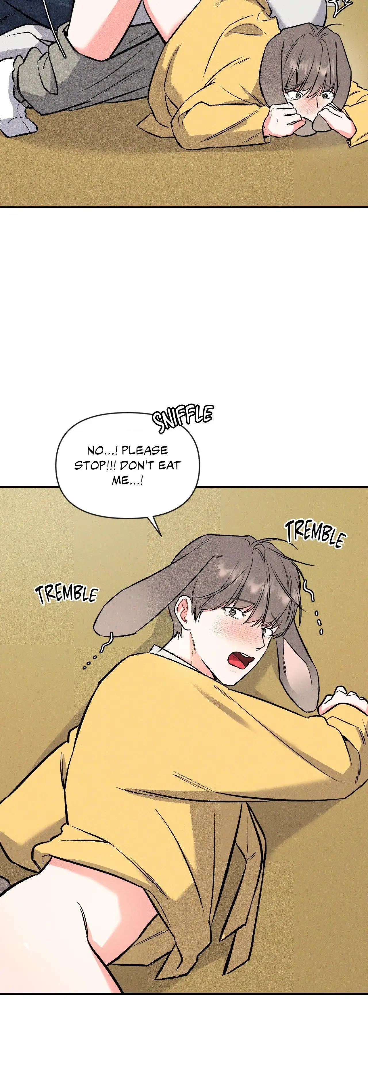 Illuminate the Night Chapter 19.5 page 14 - 