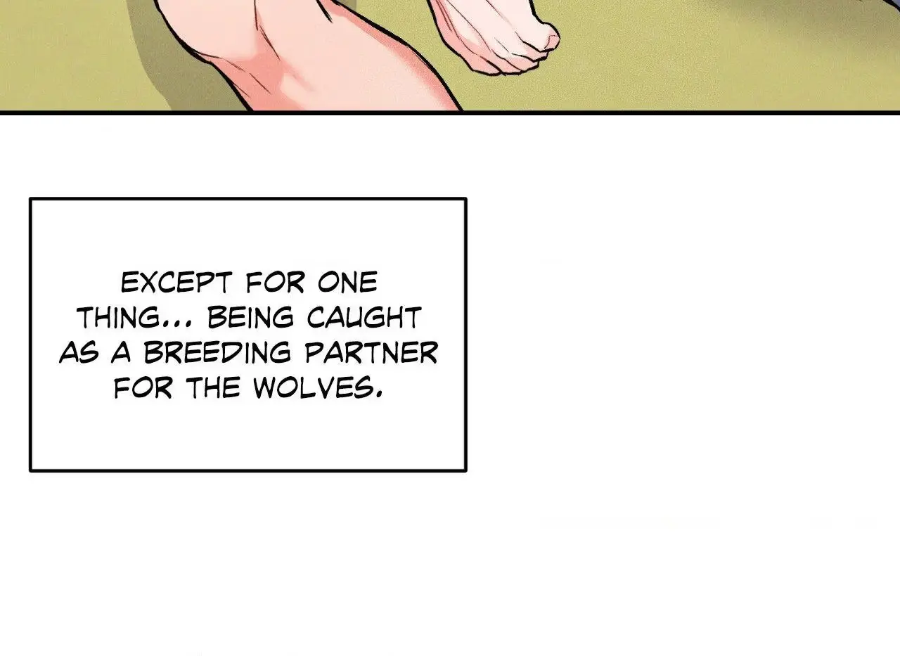 Illuminate the Night Chapter 19.5 page 25 - 