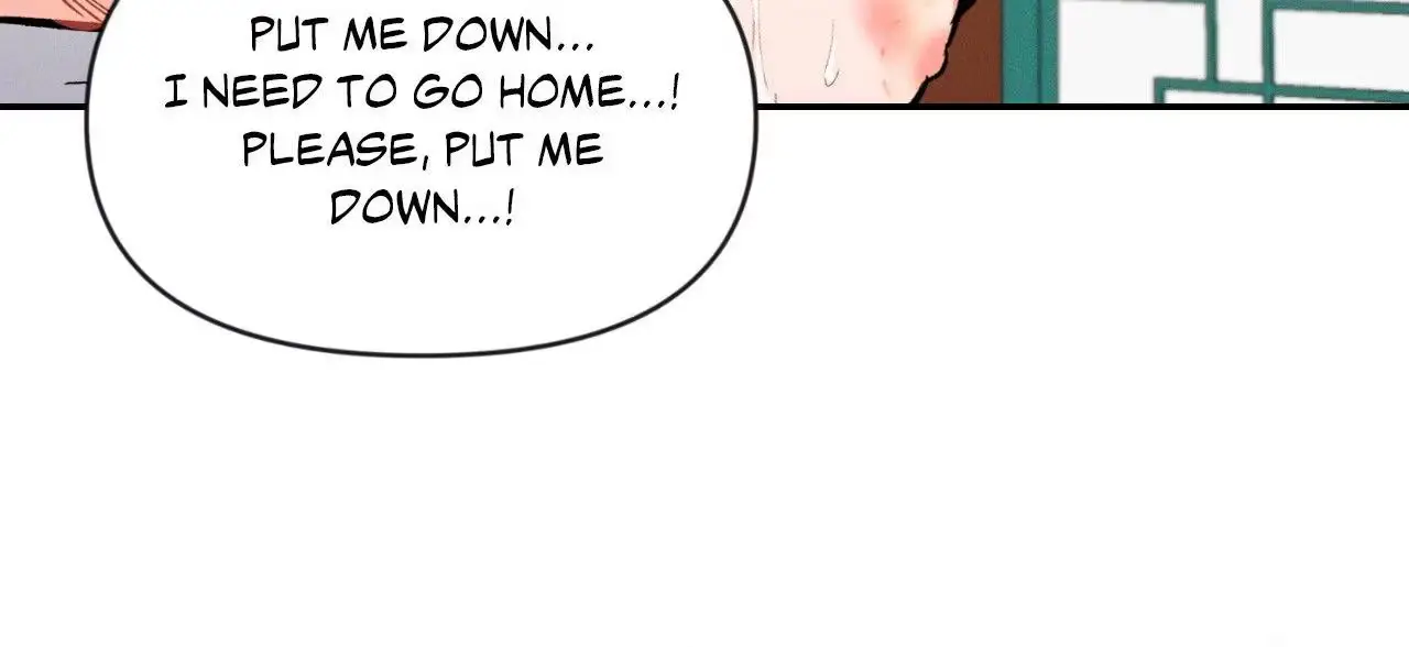 Illuminate the Night Chapter 19.5 page 46 - 
