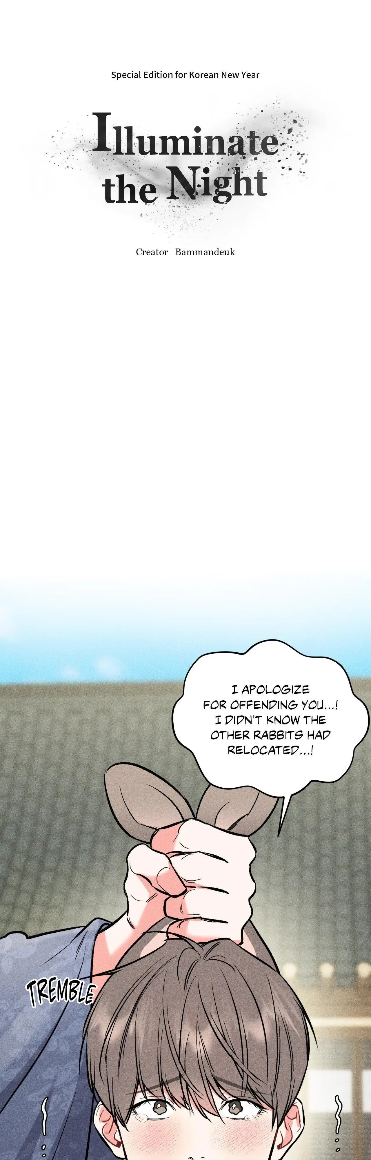 Illuminate the Night Chapter 19.5 page 9 - 