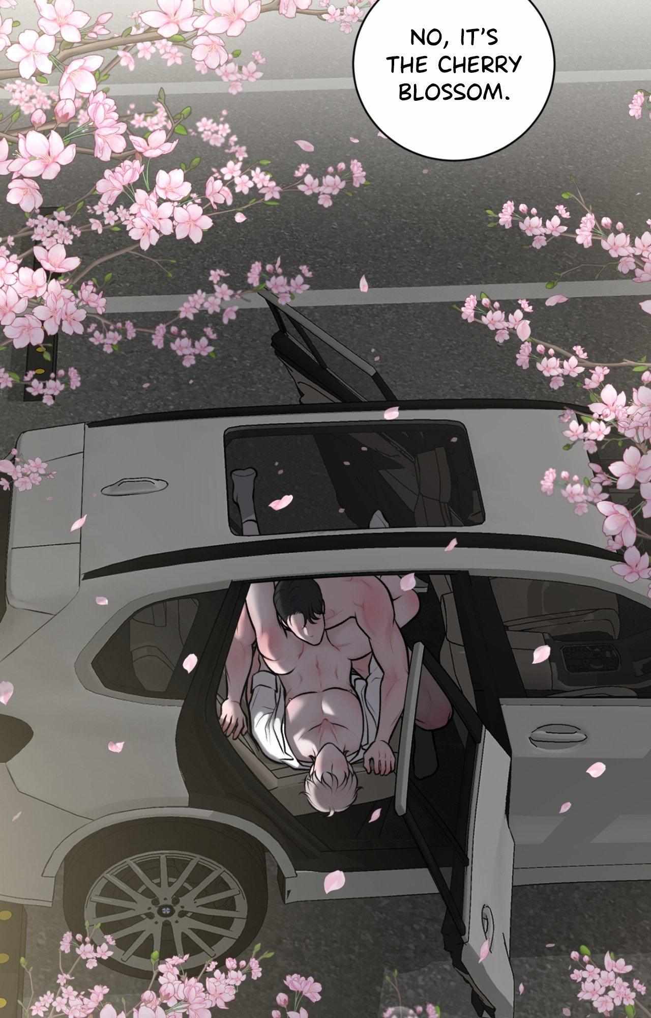 Illusion Blessing Chapter 43 page 36 - 