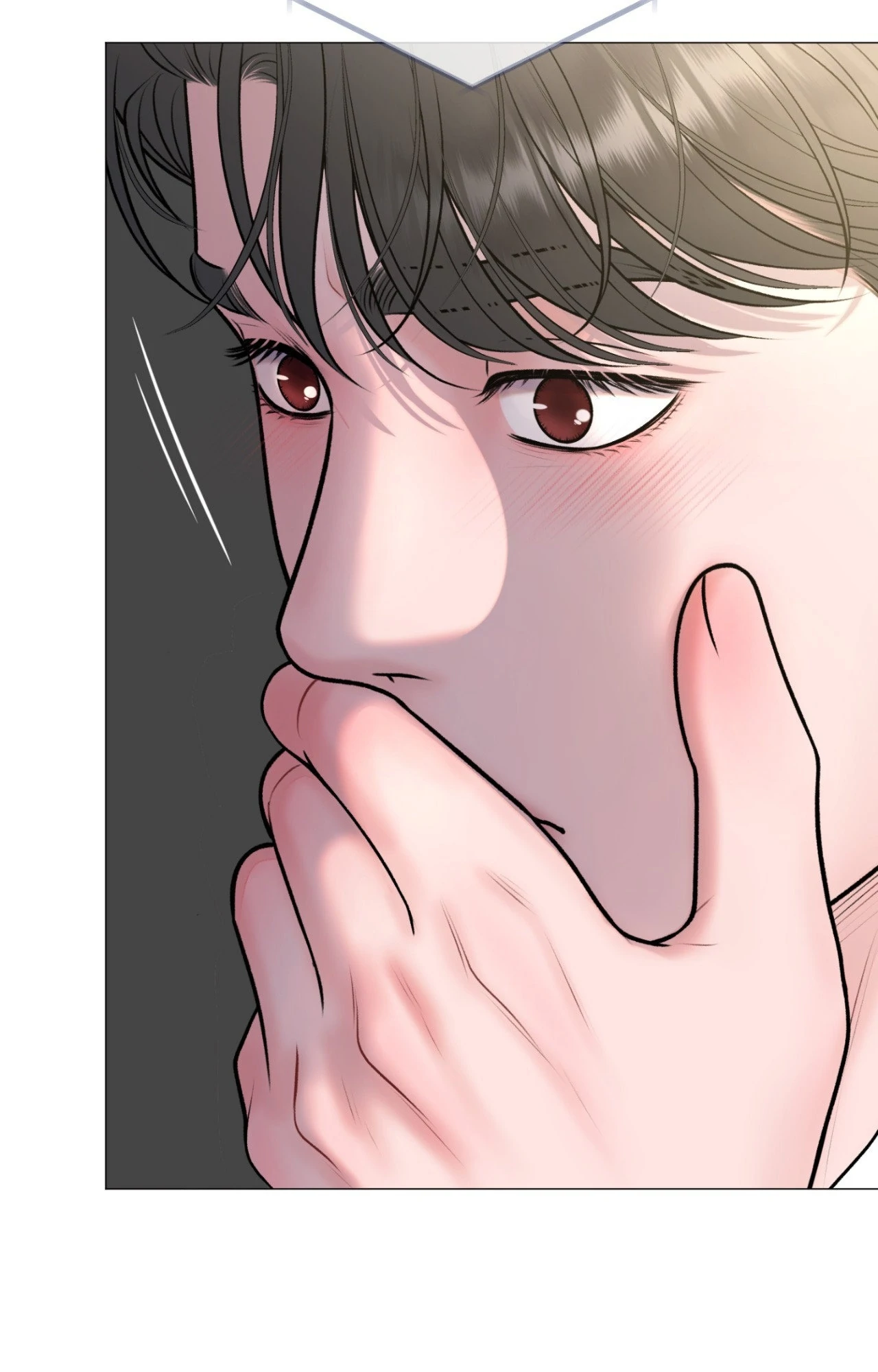 Illusion Chapter 33 page 67 - 